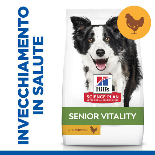 Hill's Mature Adult Senior Vitality Medium con pollo per cane