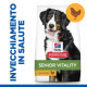 Hill's Mature Adult Senior Vitality con pollo e riso per cane large