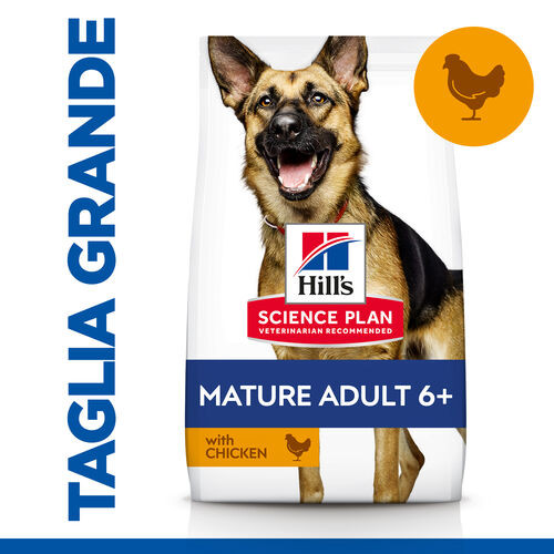 Hill's Mature Adult 5+ Active Longevity Large Breed Huhn Hundefutter 