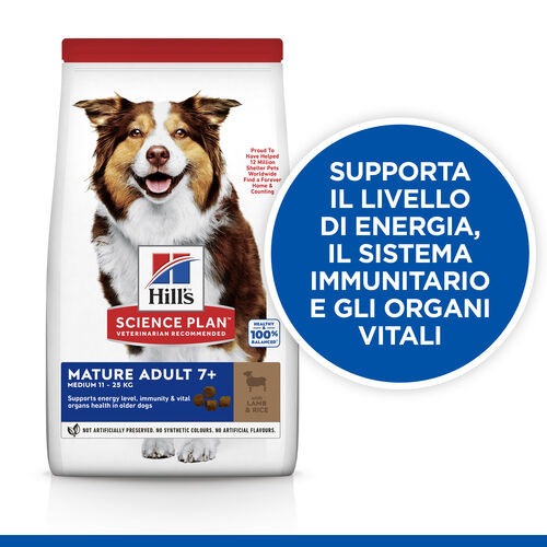 Hill's Mature Adult Medium agnello e riso per cane