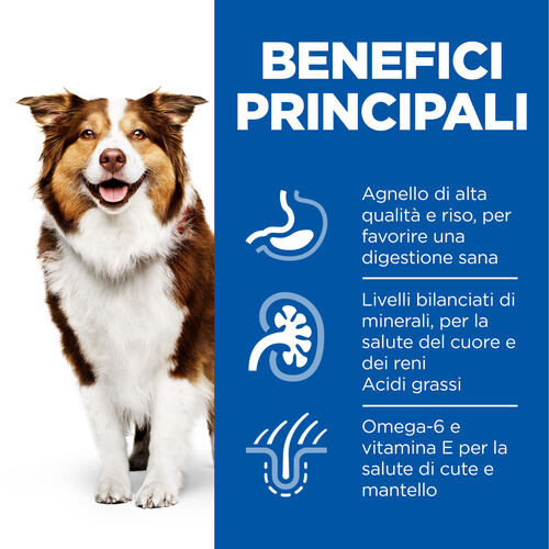 Hill's Mature Adult Medium agnello e riso per cane