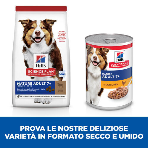 Hill's Mature Adult Medium agnello e riso per cane