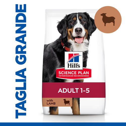 Hill's Adult Advanced Fitness Large Breed Lamm & Reis Hundefutter 