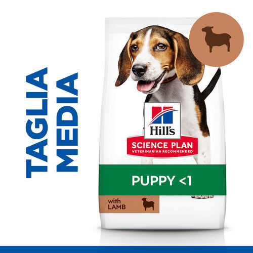 Hill's Puppy Healthy Development Lamm & Reis Hundefutter 