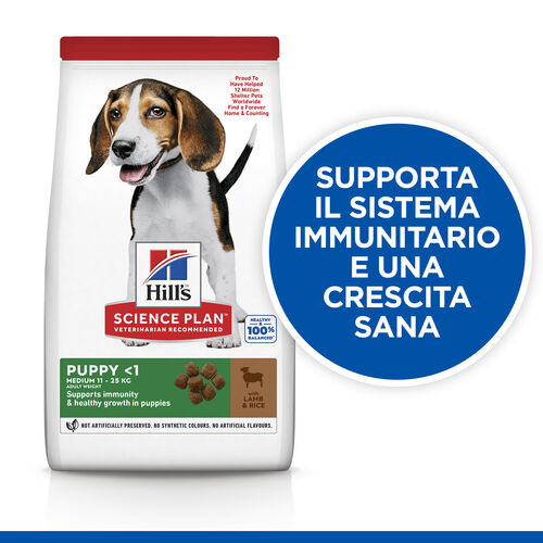 Hill's Puppy Healthy Development Lamm & Reis Hundefutter 