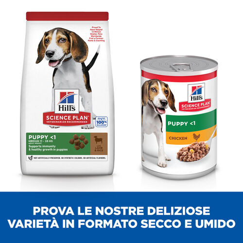 Hill's Puppy Healthy Development Lamm & Reis Hundefutter 