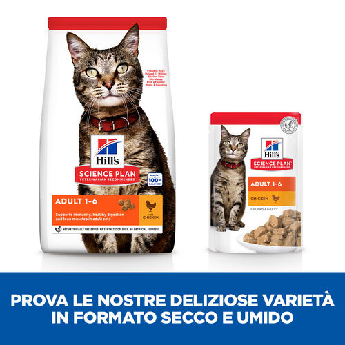 Hill's Adulto con pollo per gatto