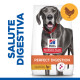 Hill's Adult Perfect Digestion Large con pollo e riso integrale per cane