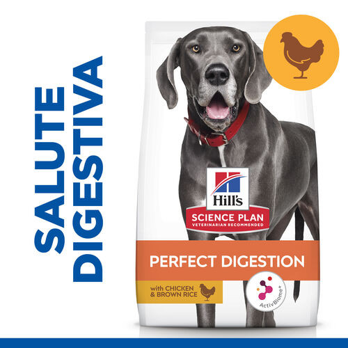 Hill's Adult Perfect Digestion Large met kip & bruine rijst hondenvoer