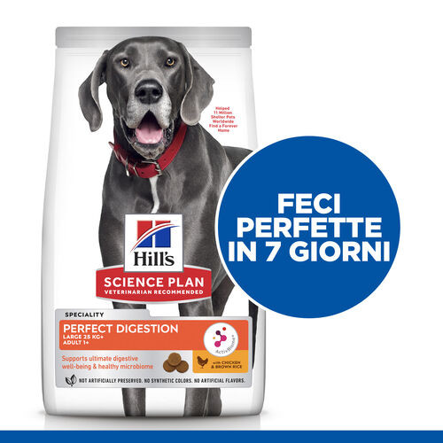 Hill's Adult Perfect Digestion Large met kip & bruine rijst hondenvoer