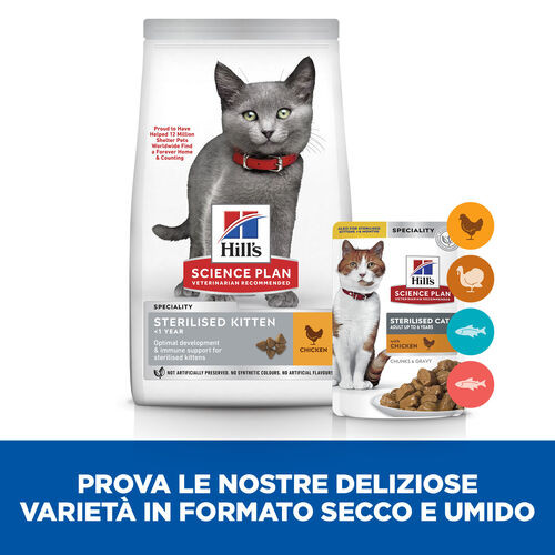 Hill's Kitten Sterilised con pollo per gatto