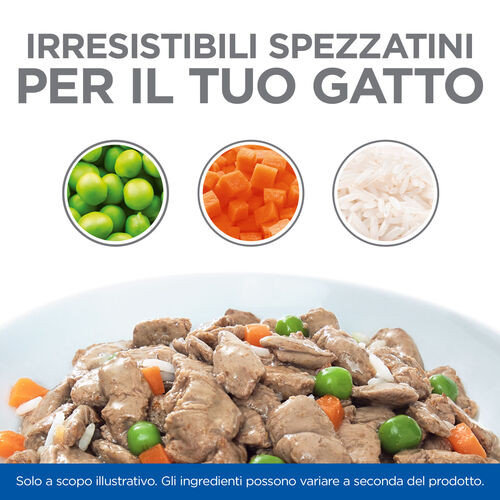 Hill's Healthy Cuisine Kitten spezzatino con pollo e verdure, pesce di mare e verdure multipack per gatto