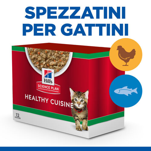 Hill's Healthy Cuisine Kitten spezzatino con pollo e verdure, pesce di mare e verdure multipack per gatto