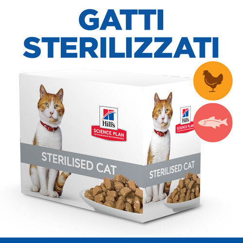 Hill's Healthy Cuisine Adult Sterilised spezzatino con pollo e verdure, salmone e verdure multipack per gatto