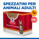 Hill's Healthy Cuisine Adult spezzatino con pollo e verdure, salmone e verdure multipack per gatto