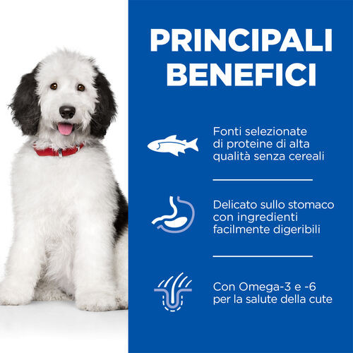 Hill's Adult Large Hypoallergenic con salmone per cane