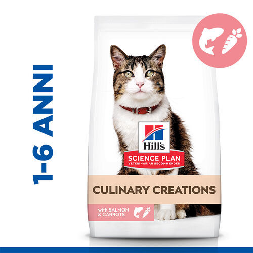 Hill's Culinary Creations Adult con salmone e carote per gatto