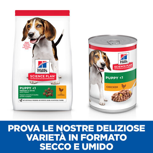 Hill's Puppy Healthy Development Huhn (in Dosen) Hundefutter 