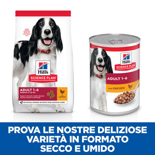 Hill's Adulto con pollo umido per cane (scatola 370 g)