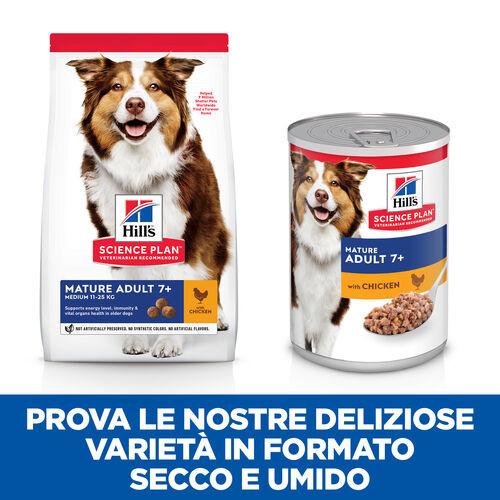 Hill's Mature  7+ Active Longevity Huhn (in Dosen) Hundefutter 