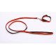 Collare in nylon foderato con guinzaglio 10 mm x 120cm
