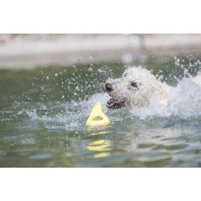 Trixie Aqua Toy haaienvin apporteerspeeltje hond