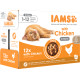 Iams Delights Kitten con pollo in salsa umido per gatto (12x85g)