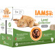 Iams Delights Adult Land Collection in salsa umido per gatto (12x85 g)