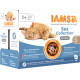 Iams Delights Adult Sea Collection in salsa umido per gatto (12x85 g)