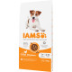 Iams for Vitality Adult Small & Medium con pollo per cane