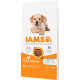 Iams for Vitality Puppy Large con pollo per cuccioli