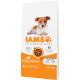 Iams for Vitality Puppy Small & Medium con pollo per cuccioli