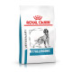 Royal Canin Veterinary Anallergenic per cane