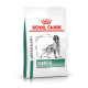 Royal Canin Veterinary Diabetic per cane