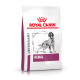 Royal Canin Veterinary Renal per cane