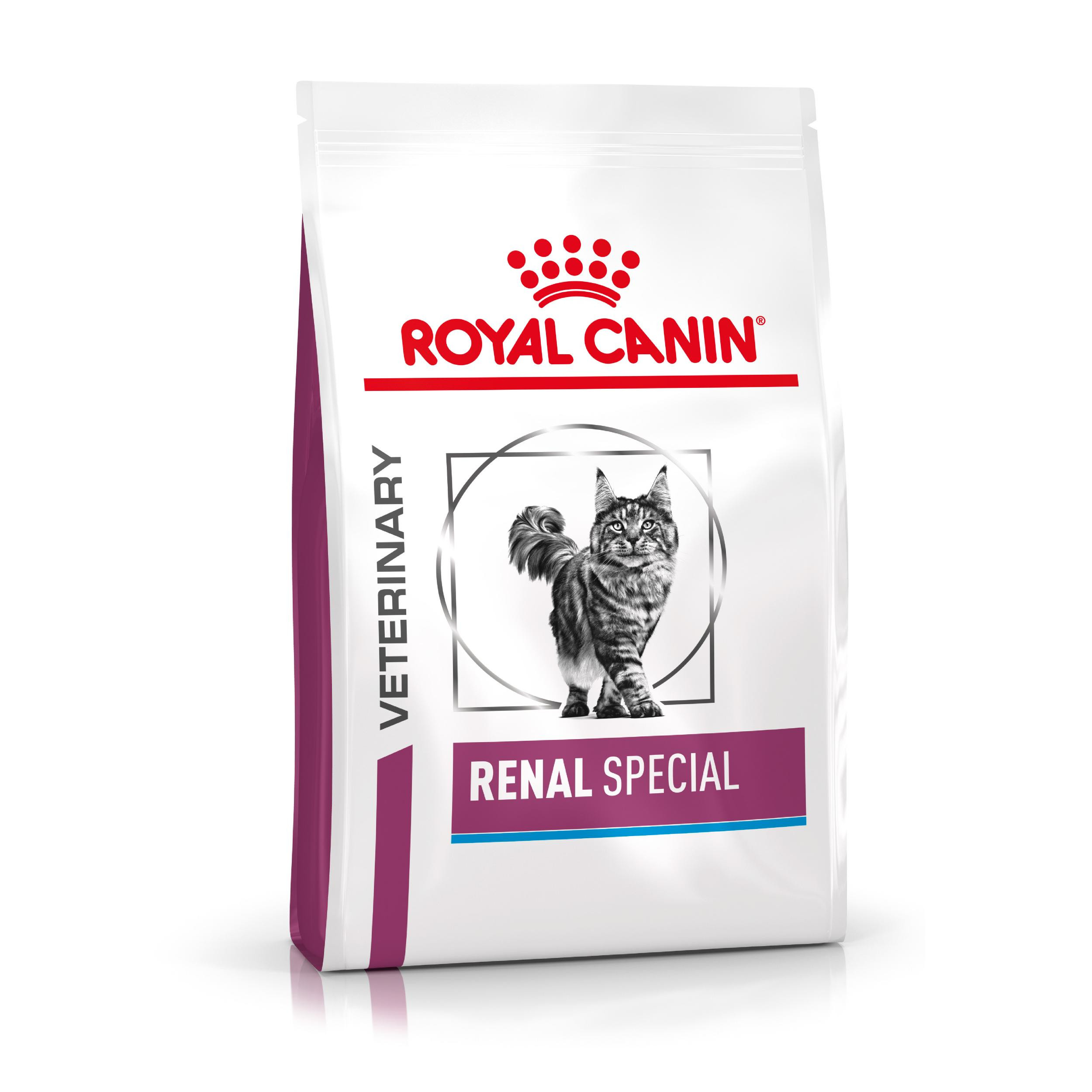 Royal Canin Veterinary Renal Special per gatto