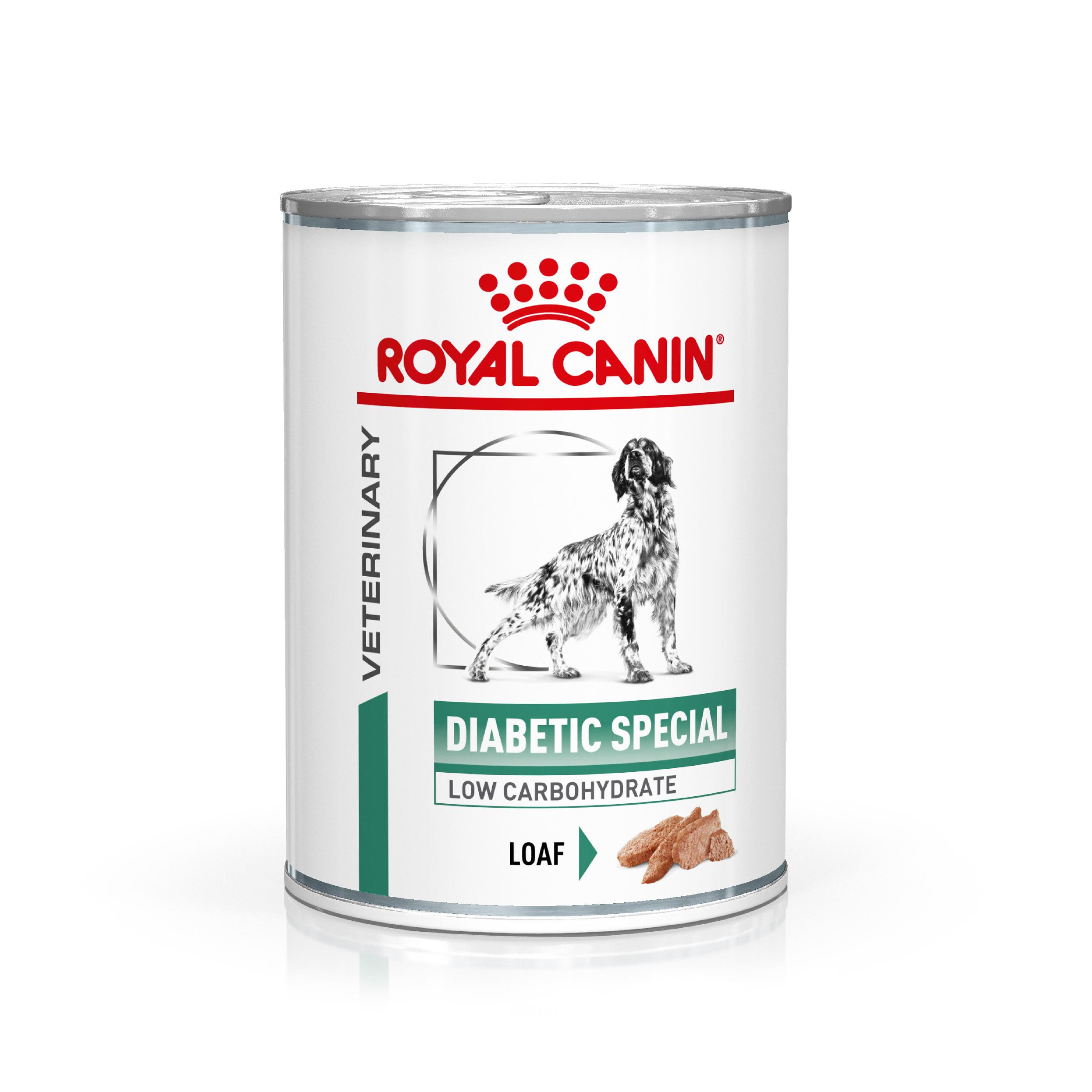 Royal Canin Veterinary Diabetic Special cibo umido per cane