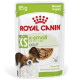 Royal Canin X-Small Adult cibo umido per cane