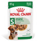 Royal Canin Mini Adult cibo umido per cane