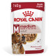 Royal Canin Medium Adult cibo umido per cane