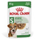 Royal Canin Mini Ageing 12+ cibo umido per cane