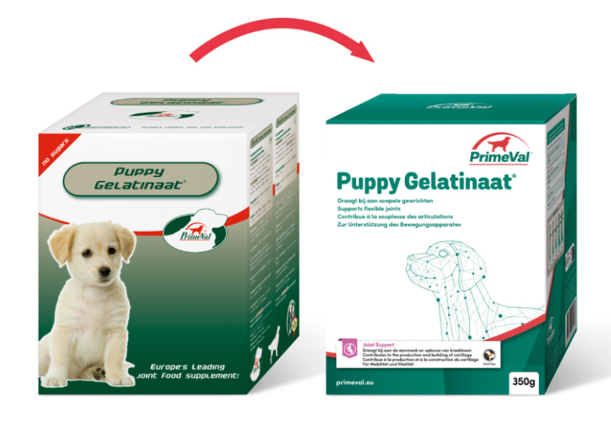 Primeval Puppy Gelatinato supplemento per cuccioli