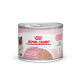 Royal Canin Mother & Babycat Mousse per gatto