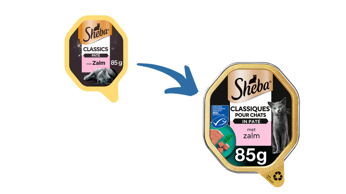 Sheba Classics paté con salmone cibo umido per gatti (vaschette da 85 g)