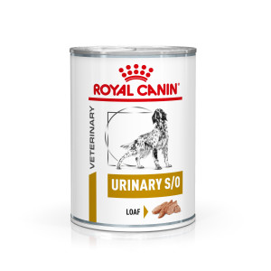 Royal Canin Veterinary cibo umido per cane | Buoni prezzi