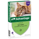 Advantage spot-on Nr. 80 antiparassitario per gatti (oltre 4 kg)