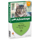 Advantage spot-on Nr. 40 antiparassitario per gatti (fino a 4 kg)