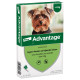 Advantage spot-on Nr. 40 antiparassitario per cani (fino a 4 kg)