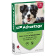 Advantage spot-on Nr. 250 antiparassitario per cani (10 - 25 kg)