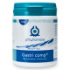 Phytonics Gastri comp supplemento per cani, gatti e cavalli
